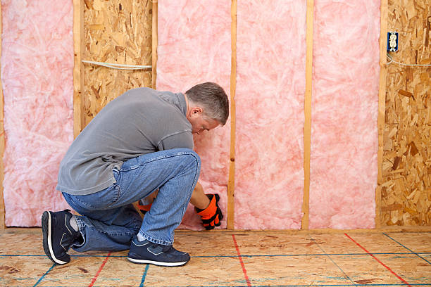 Types of Insulation We Offer in Marina Del Rey, CA